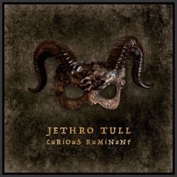 JETHRO TULL - CURIOUS...