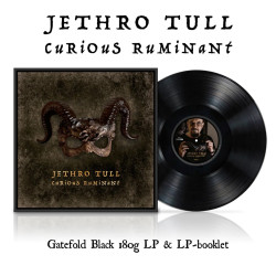 JETHRO TULL - CURIOUS...