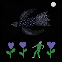 BONNIE PRINCE BILLY - THE PURPLE BIRD (CD)