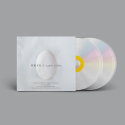 WILCO - A GHOST IS BORN (2...