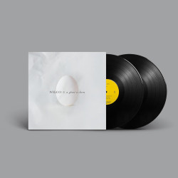 WILCO - A GHOST IS BORN (2...