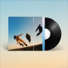 LAWRENCE HART - COME IN OUT OF THE RAIN (LP-VINILO)