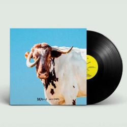 SEXY ZEBRAS - BRAVO...