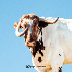 SEXY ZEBRAS - BRAVO (LP-VINILO)