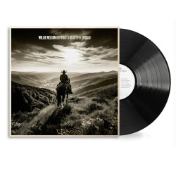 WILLIE NELSON - OH WHAT A...