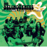 LOS DELINQÜENTES - EL VERDE REBELDE VUELVE (LP-VINILO) GREEN