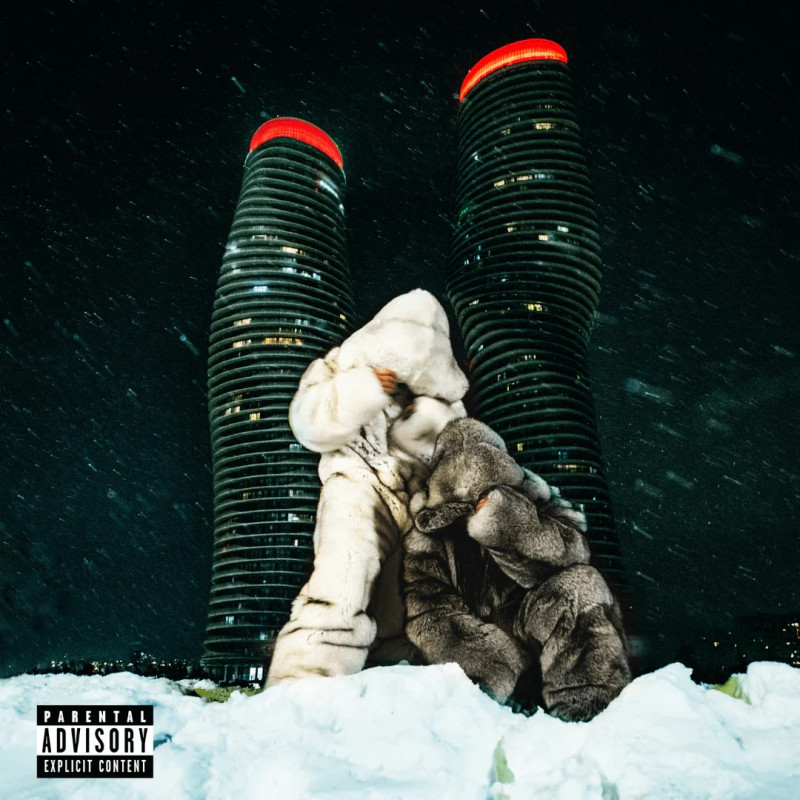 PARTYNEXTDOOR & DRAKE - $OME $EXY $ONGS 4 U (2 LP-VINILO)