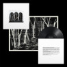 THESE NEW PURITANS - CROOKED WING (LP-VINILO)