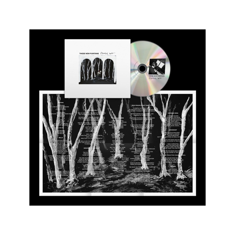 THESE NEW PURITANS - CROOKED WING (CD)