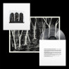 THESE NEW PURITANS - CROOKED WING (LP-VINILO) DELUXE CLEAR