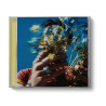 JOE JONAS - MUSIC FOR PEOPLE WHO BELIEVE IN LOVE (CD)