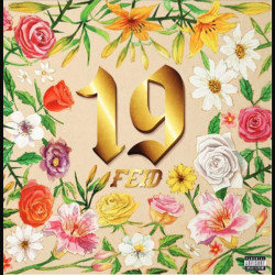 FEID - 19 (LP-VINILO)