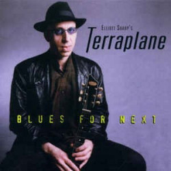 ELLIOTT SHARP'S TERRAPLANE - BLUES FOR NEXT