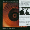 THE ELECTRIC SOFT PARADE - HOLES IN THE WALL