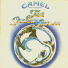 CAMEL - THE SNOW GOOVE