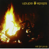 UPUPA EPOPS - NIT BRUIXA