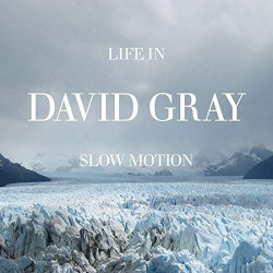 DAVID GRAY - LIFE IN SLOW...