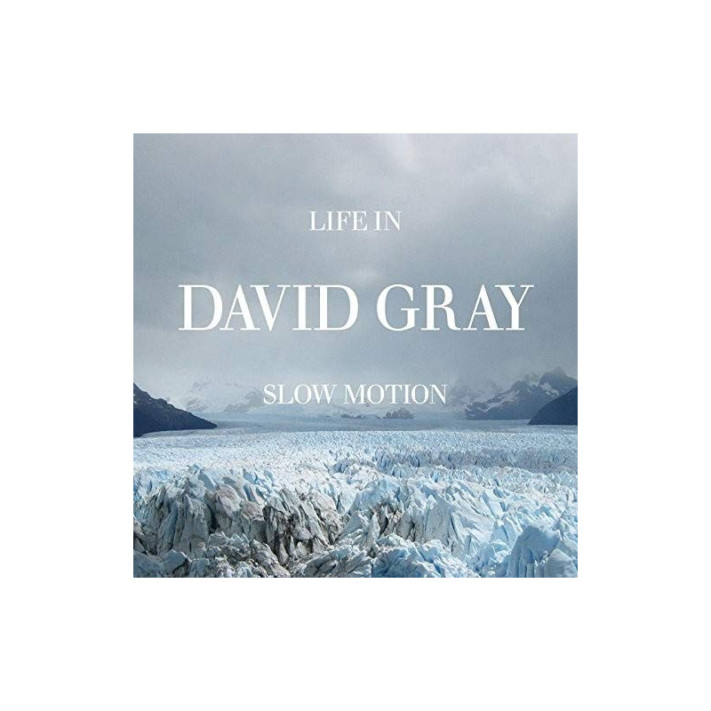 DAVID GRAY - LIFE IN SLOW MOTION