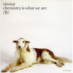 SIMIAN - CHEMISTRY IS WHAT WE ARE