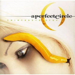 A PERFECT CIRCLE -...