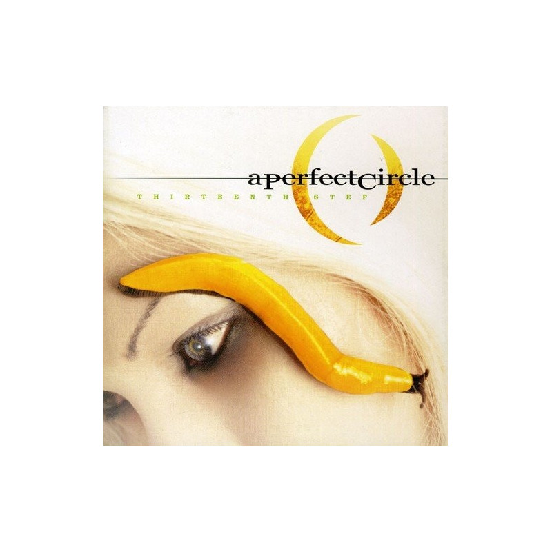 A PERFECT CIRCLE - THIRTEENTH STEP