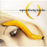 A PERFECT CIRCLE - THIRTEENTH STEP