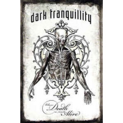 DARK TRANQUILLITY - WHERE...